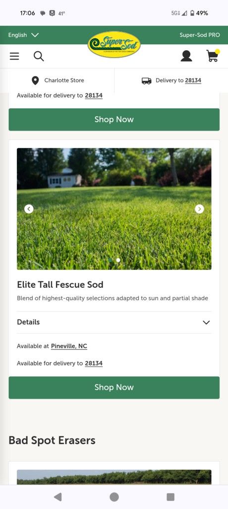 Tall Fescue Sod 1000sq Ft