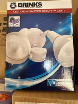 Motion activated security light
