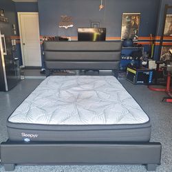 Queen Bed and Mattress