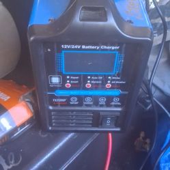 Smart Battery Charger And Reconditionerr