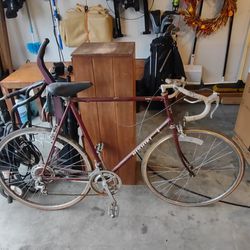 Two Classic Nishiki Road Bikes