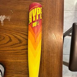 Hype Fire Baseball Bat