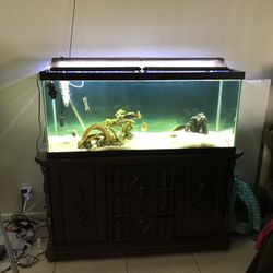 Fish Tanks For Sale Or Trade
