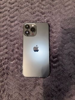 Water damaged iPhone 13 Pro Max