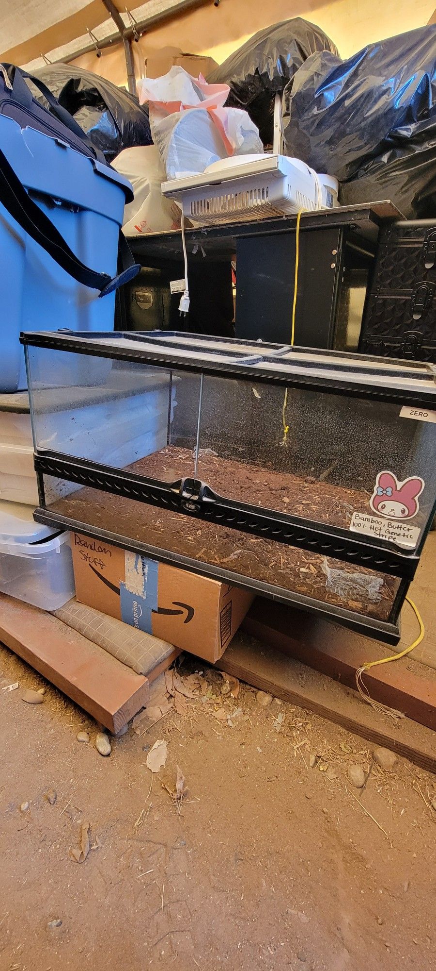 Reptile Terrarium