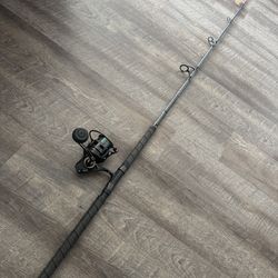 Phenix Abyss 8’ 15-40 Penn Clash 600 Salt water fishing combo