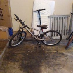 Roadmaster Mountain Bike