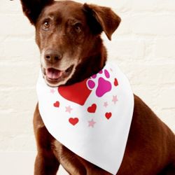 Pet Bandana