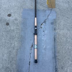 Fishing Rod