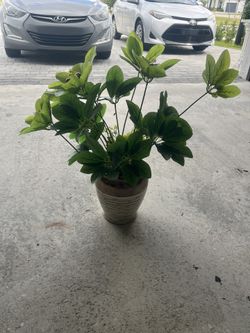 Florero De Mesa