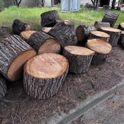 Free Wood Rounds Lumber Fire Wood 