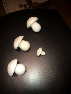 Cement mushroom molds