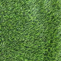 New Turf 