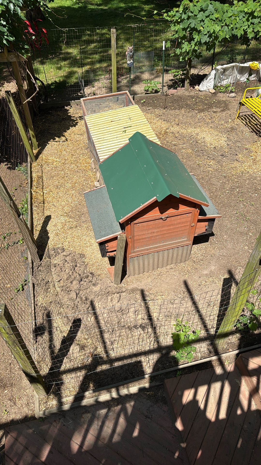 Chicken Coop