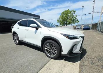 2025 Lexus NX 350h
