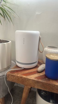 Molekule Mini Air Purifier