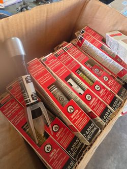 Motorcraft lacquer touch up pain