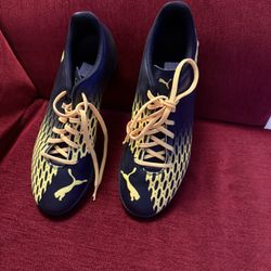 Puma  shoes New 