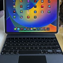 iPad Pro- 11 Inch (4th Generation)