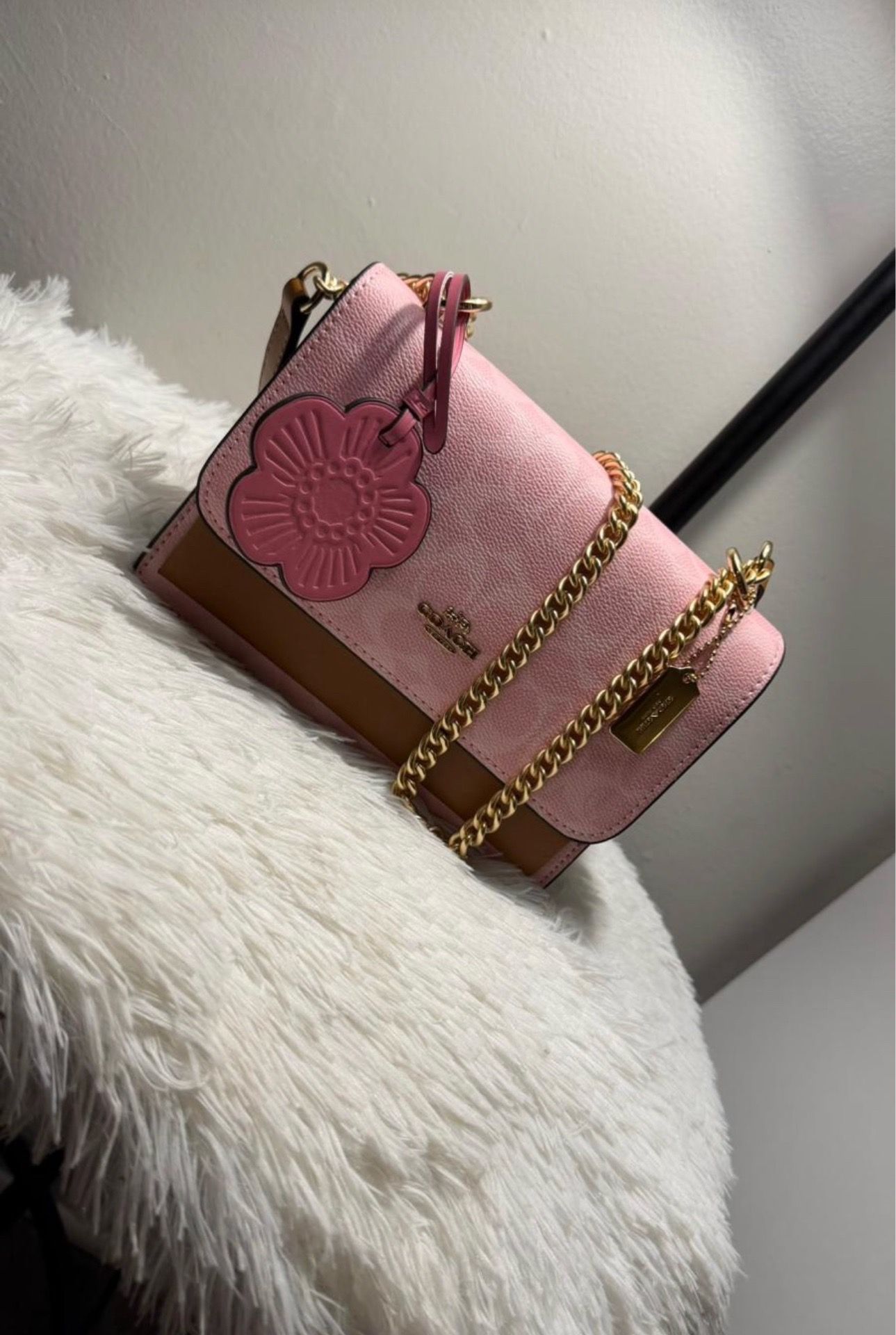 Bolsa coach
