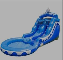 Inflatable dolphin water slide