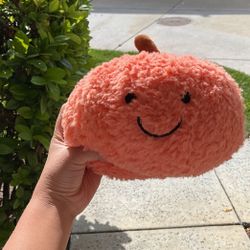 Cute Pumpkin Plushie PICK UP ONLY