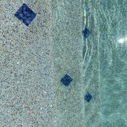 Pool Pebble And Plaster 