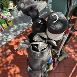 Set Of Golf Clubs 