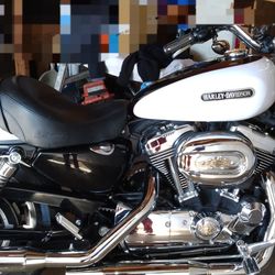 2006 Harley Davidson Sportster 1200