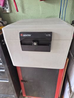 Sentry Safe