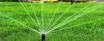 We install a sprinkler system                                   “”Instalamos Systema De Sprinkler “