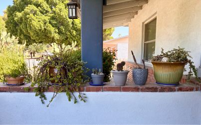 10 PLANTS & POTS