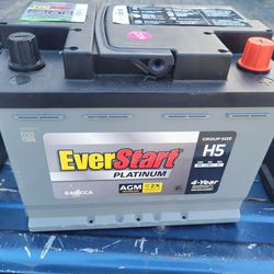 Everstart Platnium  Battery Agm Technology New