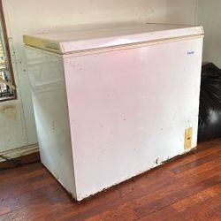 Chest Freezer
