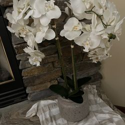 Orchid.  Fake Plant.