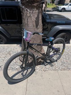 29er Collective C3 bike