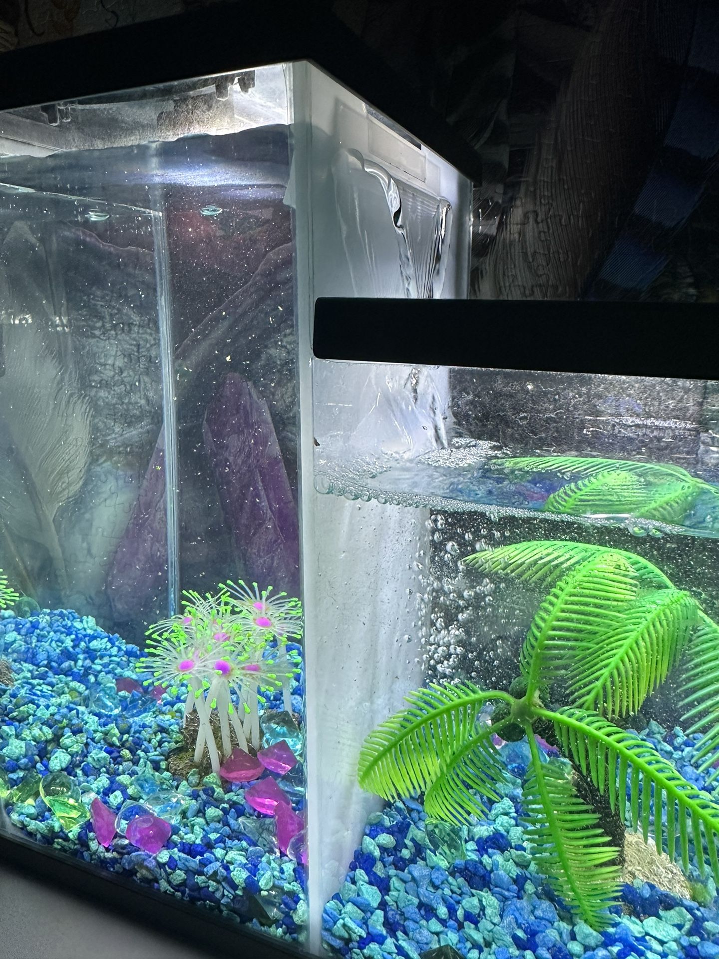 Aquarium