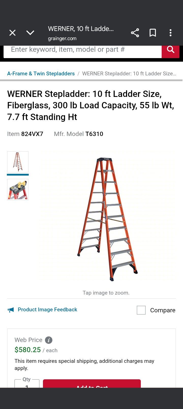 10Ft. WERNER LADDER (Fiberglass)