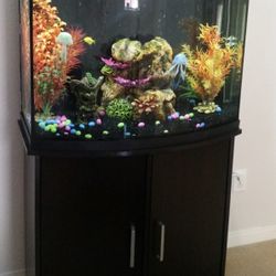 Fish Tank Stand Combo
