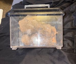 Small critter cage