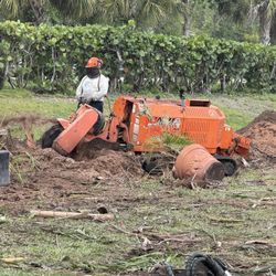 Stump Grinding 