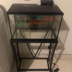10 Gallon Fish Tank With Hang On Filter/Heater/Stand