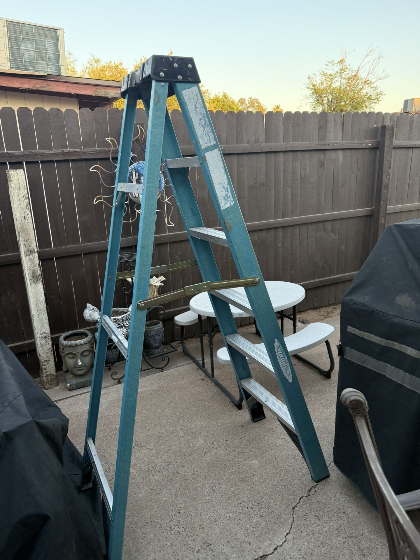 6 Foot Werner Step Ladder Tool