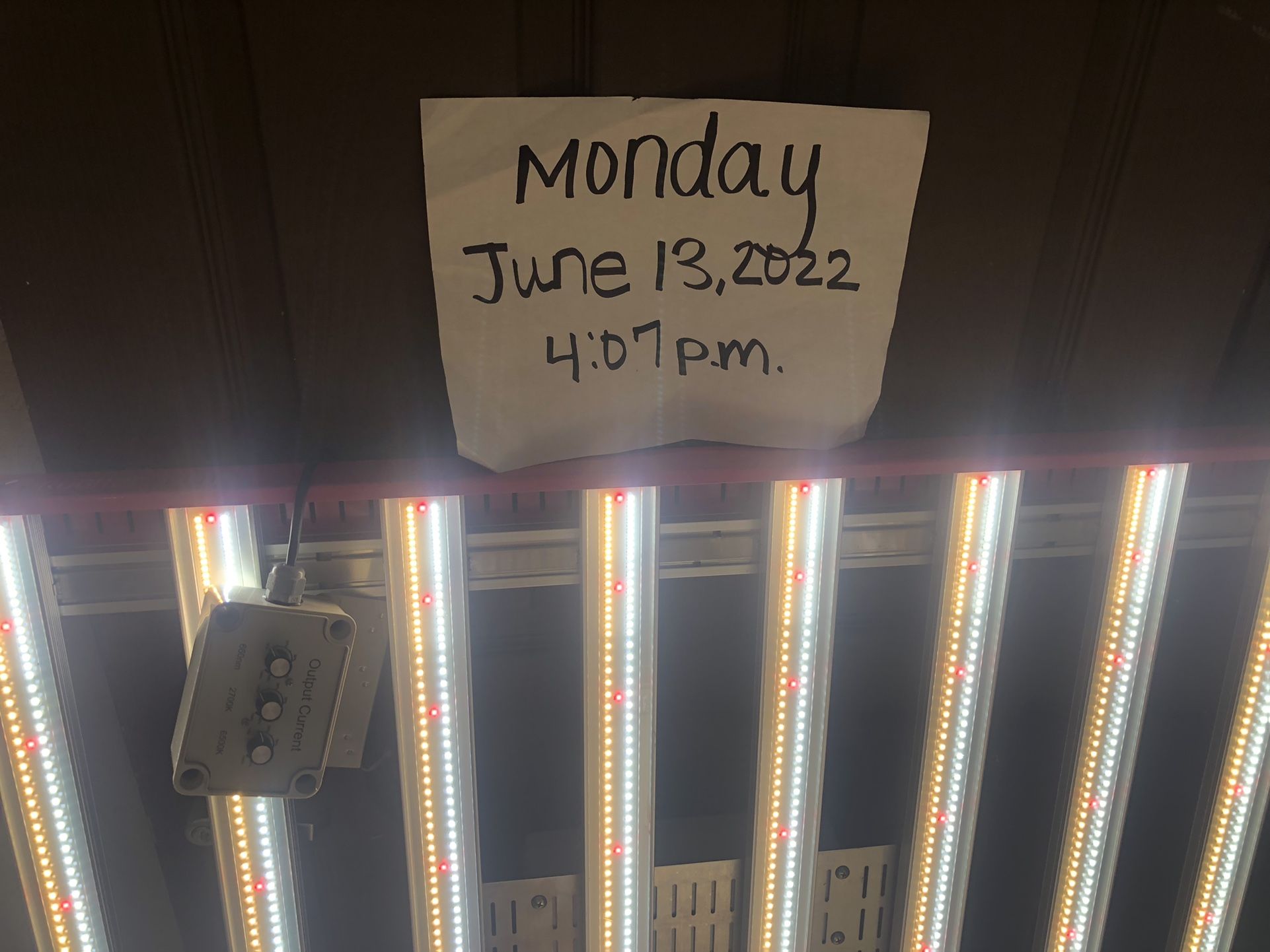 EV 700 Grow light