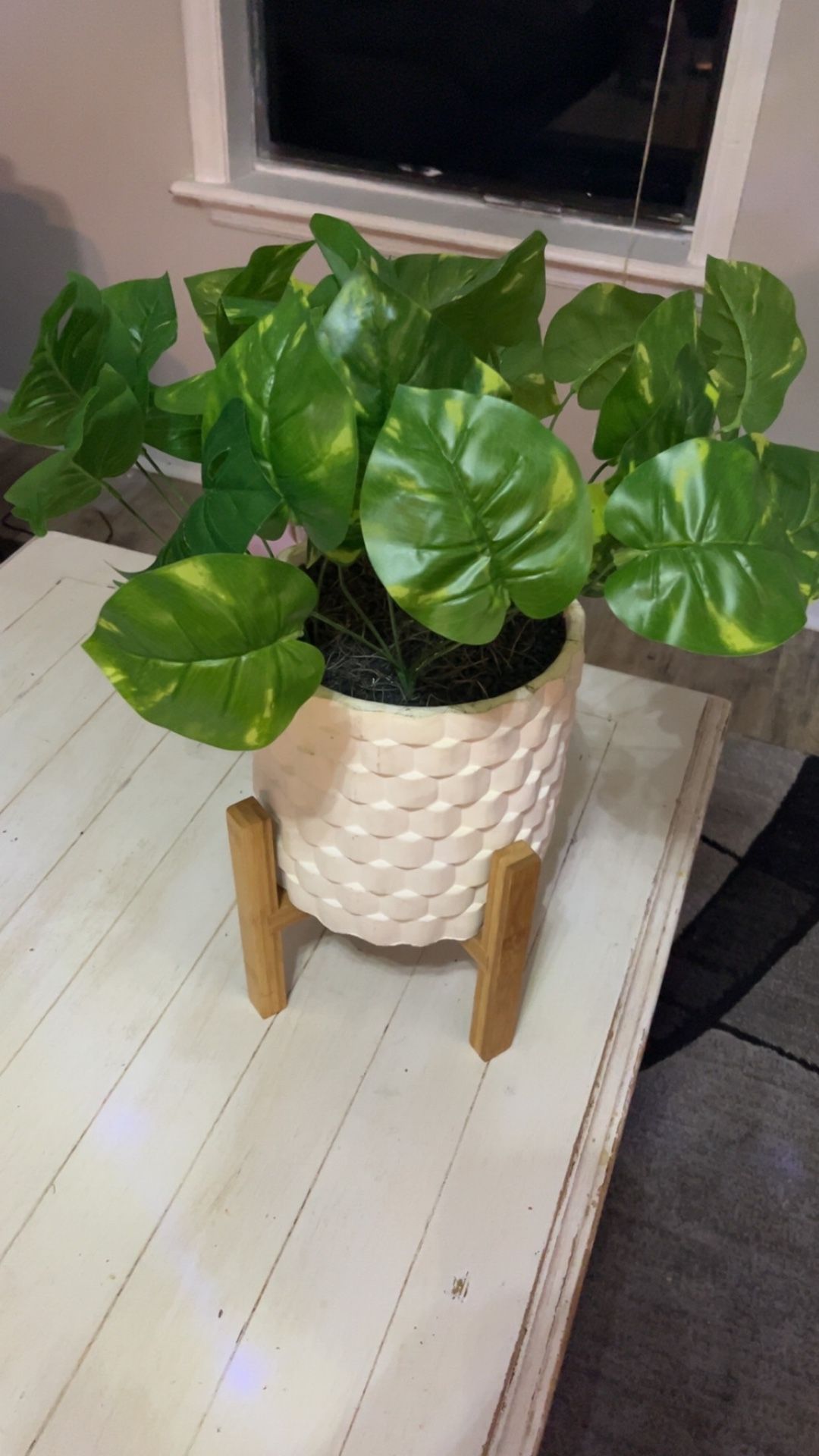 Plant Decor Vase Set