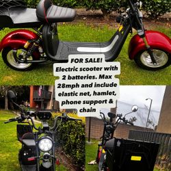 Electric Golf Scooter 