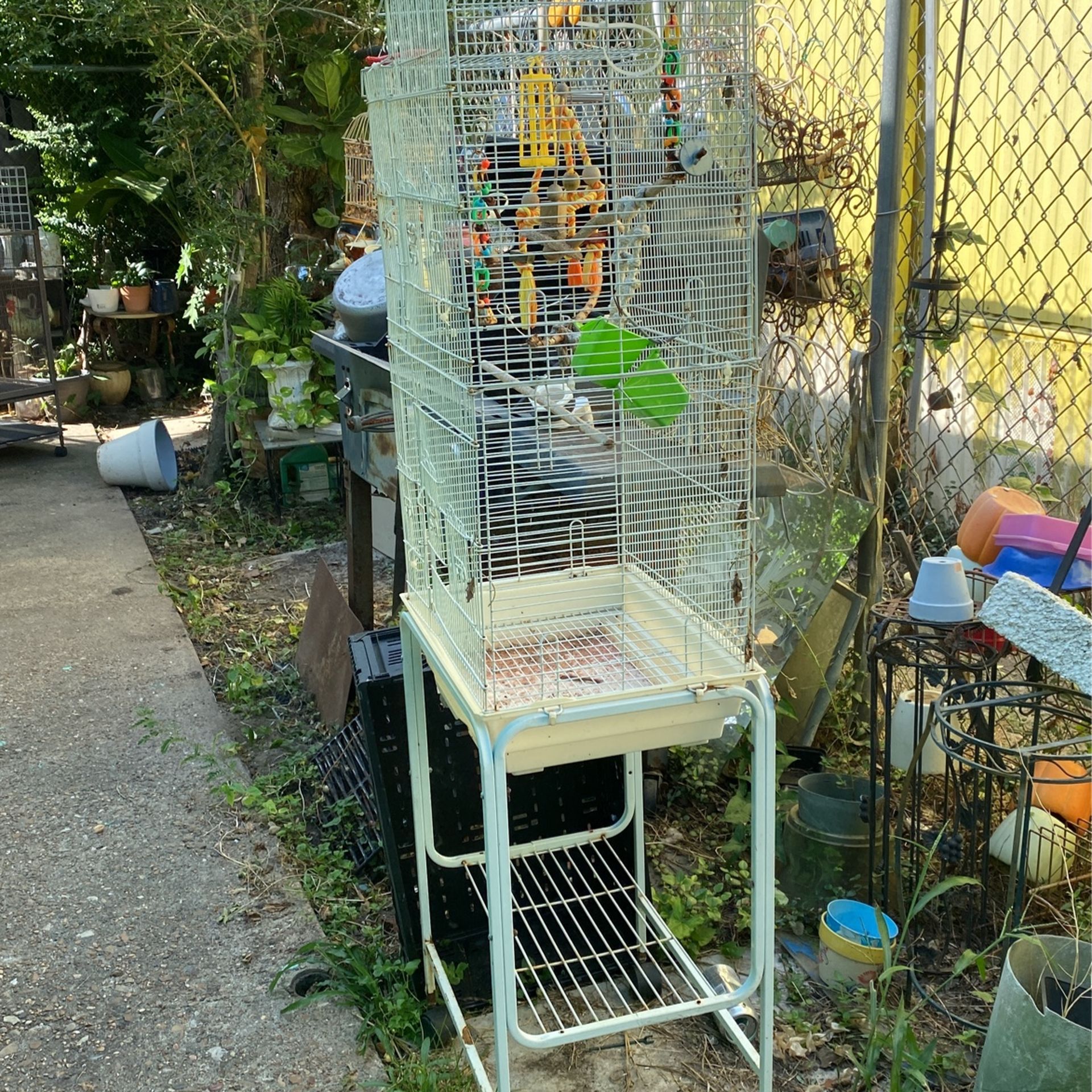 Bird.  Cage.  35 Toll X13. X18.  