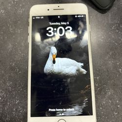 iPhone 8 Plus 