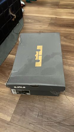 LeBron witness ix (GS)