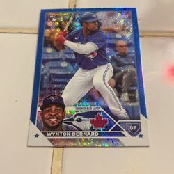 Platinum rainbow card